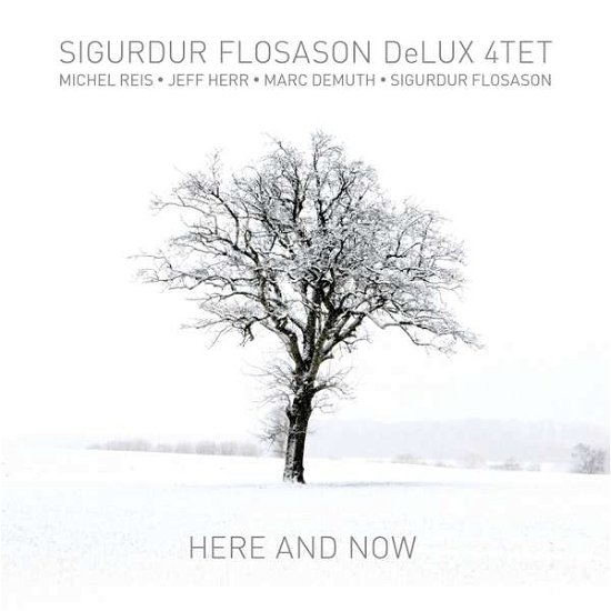 Here And Now - Sigurdur -Delux 4tet- Flosason - Musiikki - DOUBLE MOON - 0608917136029 - torstai 7. helmikuuta 2019