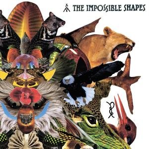 Cover for Impossible Shapes (CD) (2008)