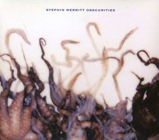 Obscurities - Stephin Merritt - Musique - MERGE - 0673855043029 - 13 décembre 2019