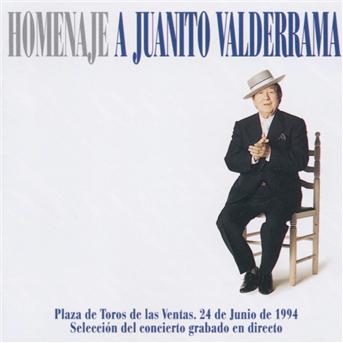 Cover for Juanito Valderrama · Homenaje A J.Valderrama (CD) (2015)