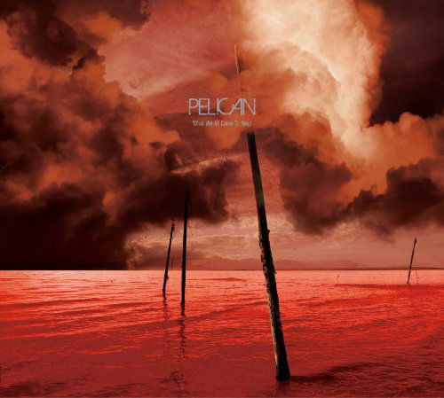 Pelican · What We All Come To Need‚ Metal (CD) (2009)