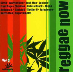 Cover for Various Artists · Reggae Now Vol 3 (CD) (2010)