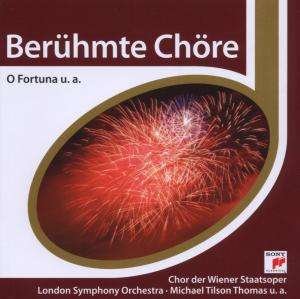 Beruhmte Chore (esprit) - O Fortuna - Beruhmte Chore (esprit) - Música - Sony - 0828768864029 - 