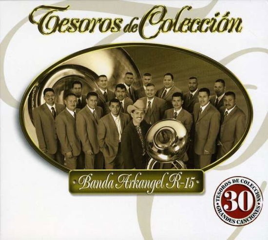 Cover for Banda Arkangel R-15 · Tesoros De Coleccion (CD)