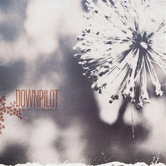 Cover for Downpilot · Like You Believe It (CD) (2020)