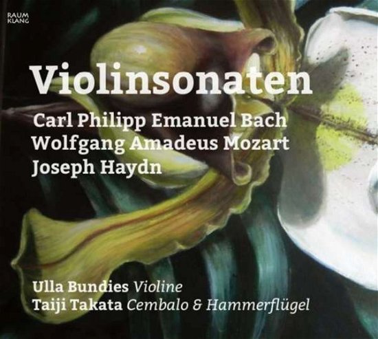 Violinsonaten - Ulla Bundies - Musikk - RAUMKLANG - 4018767037029 - 25. januar 2019