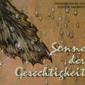 Cover for Neubert / Pistorius / Neumann / Great Rso Leipzig · Orchestral Works (CD) (1997)