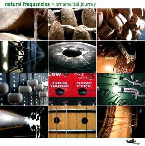 Cover for Natural Frequencies · Ornamental Journey (CD) (2010)