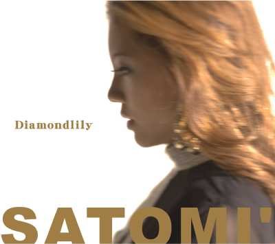 Cover for Satomi · Diamondlily (CD) [Japan Import edition] (2007)