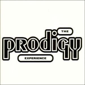 Experience - The Prodigy - Musiikki - XL RECORDINGS - 5012093551029 - maanantai 18. maaliskuuta 2002
