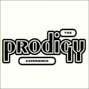 Experience - The Prodigy - Musik - XL RECORDINGS - 5012093551029 - 28 september 1992