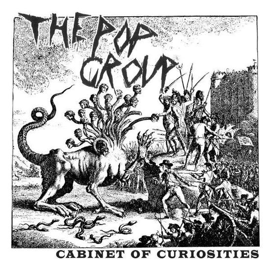 Cover for The Pop Group · Cabinet of Curiosities (LP) (2014)