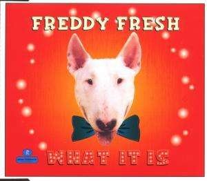 Cover for Freddy Fresh · What It is ( New Radio Edit / Shut Up &amp; Dance Mix / Freestylers Extended Mix / Bassbin Twins Mix ) (SCD)