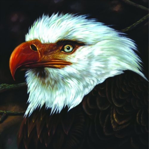 Cover for Mogwai · The Hawk Is Howling (CD) (2008)