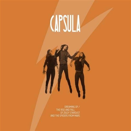 Cover for Capsula · Dreaming Of/ the Rise and Fall (LP) (2015)