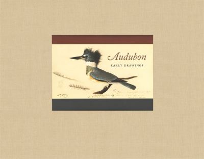 Audubon: Early Drawings - John James Audubon - Books - Harvard University Press - 9780674031029 - September 1, 2008