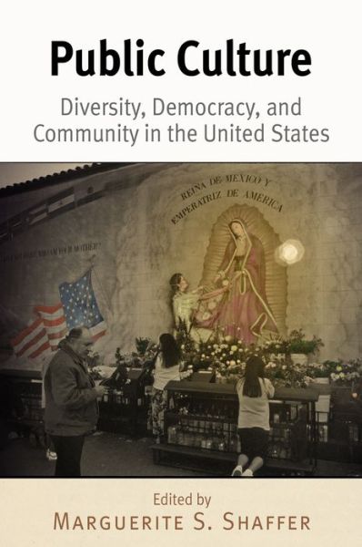 Cover for Public Culture: Diversity, Democracy, and Community in the United States (Paperback Book) (2012)