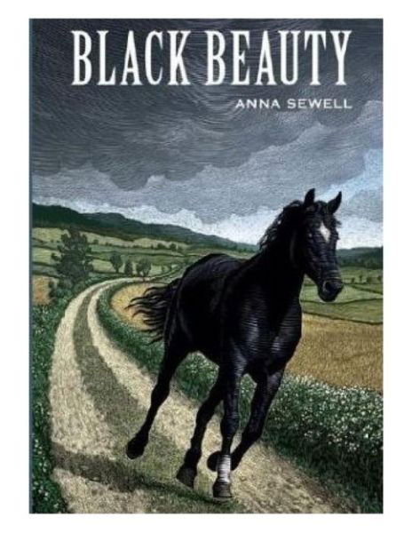 Cover for Anna Sewell · Black Beauty (Paperback Book) (2013)