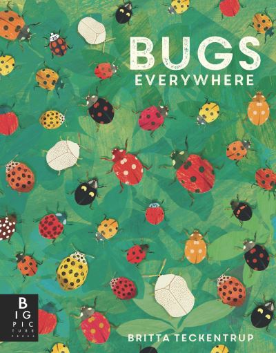 Bugs Everywhere - Lily Murray - Kirjat - Candlewick Press - 9781536235029 - tiistai 9. huhtikuuta 2024