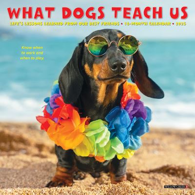 What Dogs Teach Us 2025 7 X 7 Mini Wall Calendar - Willow Creek Press - Merchandise - Willow Creek Press Calendars - 9781549246029 - September 10, 2024