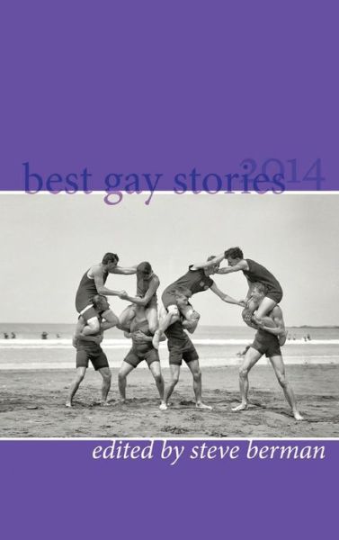 Cover for Steve Berman · Best Gay Stories 2014 (Hardcover Book) (2014)