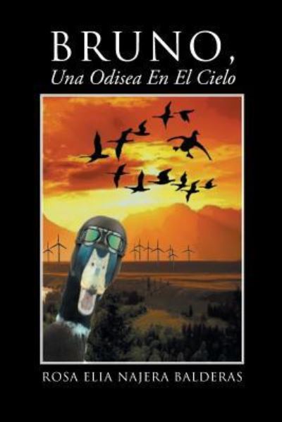 Cover for Rosa Elia Najera Balderas · Bruno Una Odisea En El Cielo (Paperback Book) (2018)