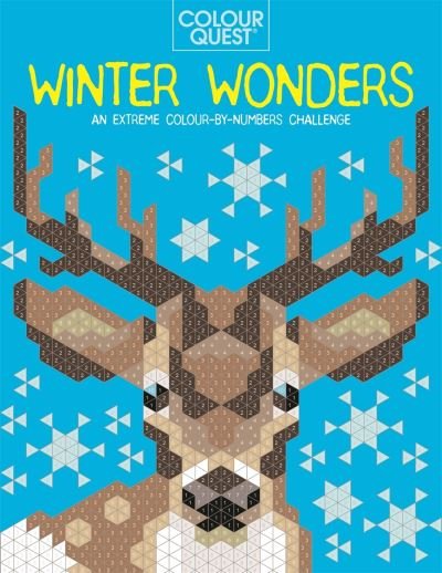 Colour Quest®: Winter Wonders: An Extreme Colour by Numbers Challenge - Colour Quest - Daniela Geremia - Books - Michael O'Mara Books Ltd - 9781789293029 - October 28, 2021