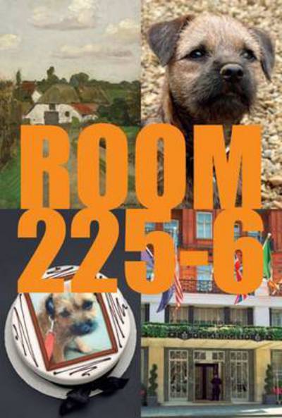 Room 225-6: A Novel - Karsten Schubert - Books - Ridinghouse - 9781909932029 - July 1, 2015