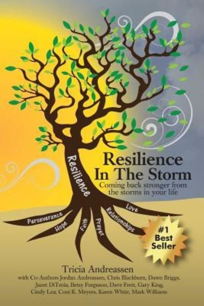 Cover for Jordan Andreassen · Resilience In The Storm (Taschenbuch) (2016)