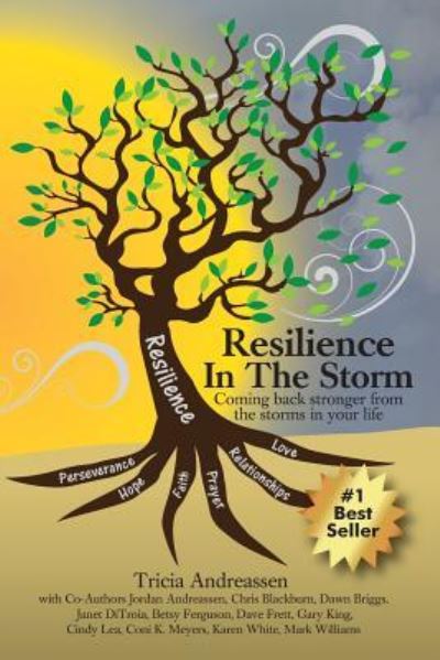 Cover for Jordan Andreassen · Resilience In The Storm (Paperback Book) (2016)