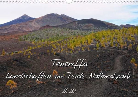 Cover for Frost · Teneriffa - Landschaften im Teide (Book)