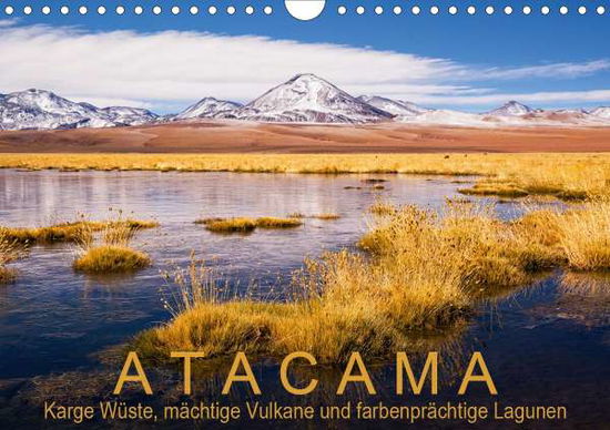 Cover for Aust · Atacama: Karge Wüste, mächtige Vul (Book)