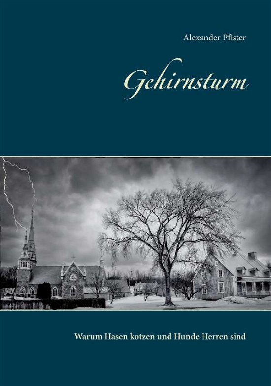 Cover for Pfister · Gehirnsturm (Book)