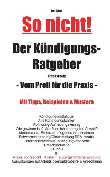 Cover for Scholl · So nicht! Der Kündigungs-Ratgebe (Book) (2020)