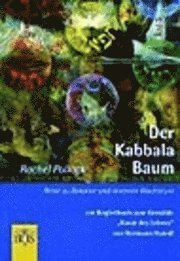 Cover for Rachel Pollack · Der Kabbala-Baum (Paperback Bog) (2006)