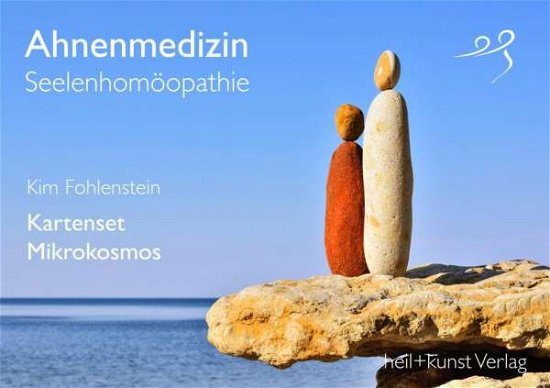 Cover for Fohlenstein · Ahnenmedizin und Seelenhomö (Buch)
