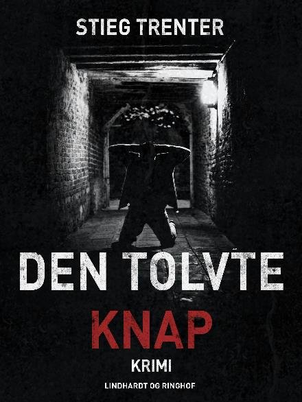 Cover for Stieg Trenter · En Harry Friberg-krimi: Den tolvte knap (Sewn Spine Book) [2th edição] (2017)