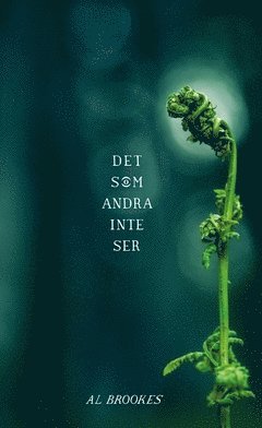 Cover for Al Brookes · Det som andra inte ser (Paperback Book) (2016)