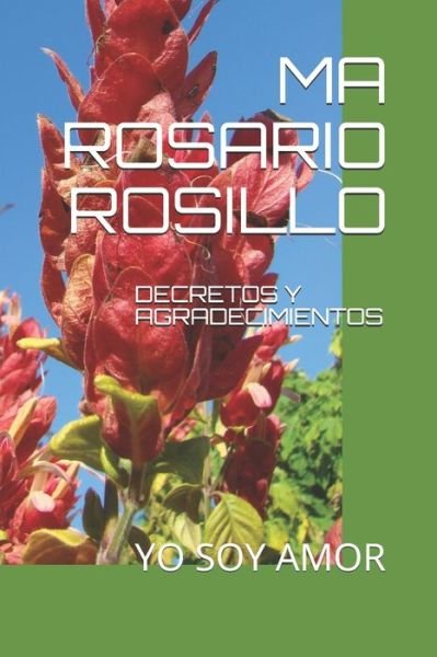 Cover for Ma Rosario Guerrero Rosillo · Decretos Y Agradecimientos (Paperback Book) (2021)