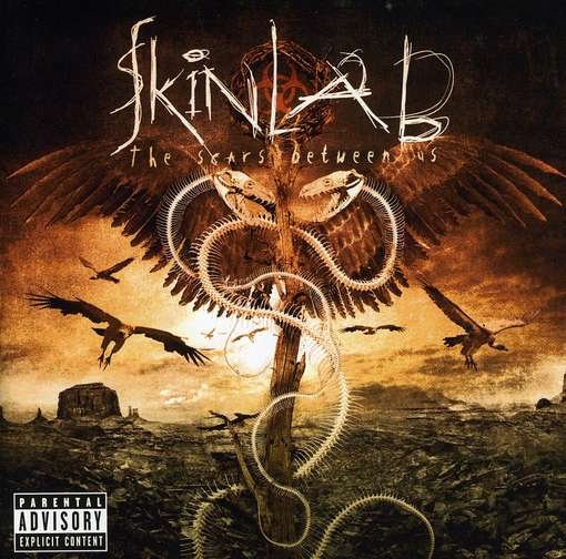 Cover for Skinlab · Scars Between Us (CD) (2009)