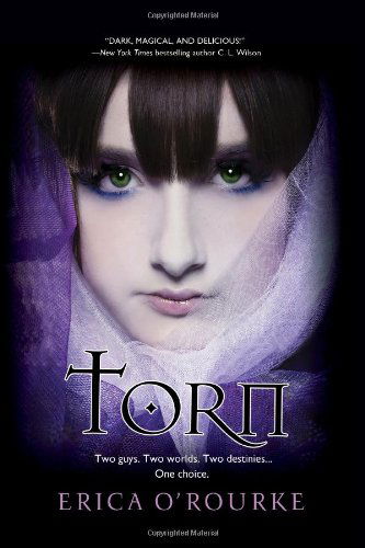 Cover for Erica O'rourke · Torn (Taschenbuch) [Original edition] (2011)