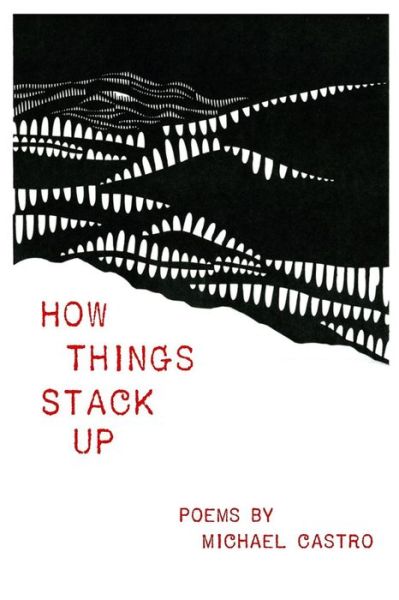 Cover for Michael Castro · How Things Stack Up (Paperback Book) (2014)