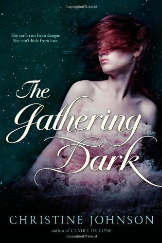 Cover for Christine Johnson · The Gathering Dark (Hardcover Book) (2013)