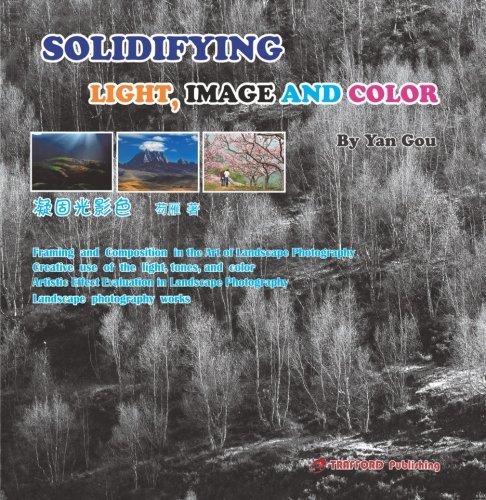 Cover for Yan Gou · Solidifying Light, Image and Color (Paperback Bog) (2013)