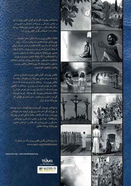 Cover for Rev. Ryan Carter · Bible Blossom Storyteller's Handbook, Kurdish (Pocketbok) (2022)