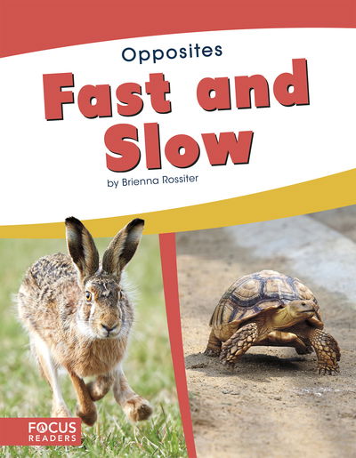 Cover for Brienna Rossiter · Fast and Slow - Opposites (Paperback Book) (2019)