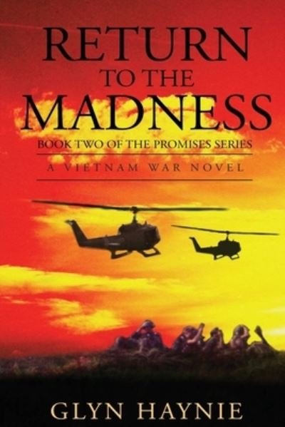 Cover for Glyn Haynie · Return To The Madness (Paperback Book) (2020)