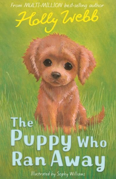 The Puppy Who Ran Away - Holly Webb Animal Stories - Holly Webb - Kirjat - Little Tiger Press Group - 9781788953030 - torstai 1. huhtikuuta 2021