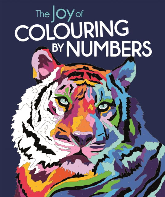 Cover for Felicity French · The Joy of Colouring by Numbers (Pocketbok) (2023)