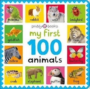 Cover for Roger Priddy · My First 100 Animals - My First 100 (Kartongbok) (2023)